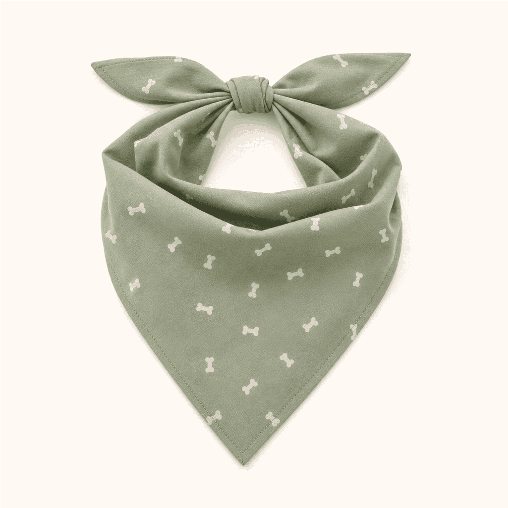 Personalized Pet Bandana